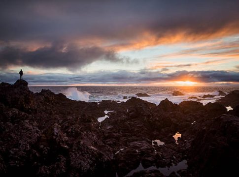 Simple Changes That Elevate Your Everyday Living