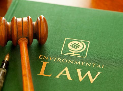 ngt lawyer