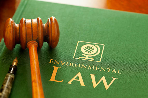 ngt lawyer ngt lawyer