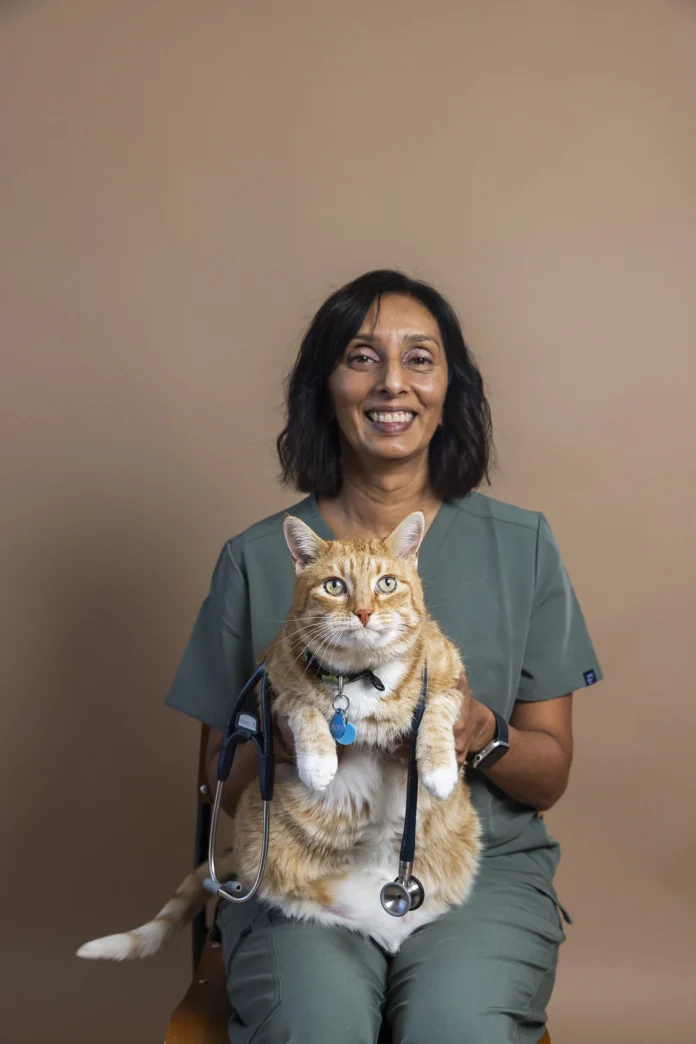 progressive vet care progressive vet care