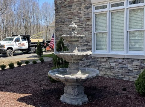 Daily Landscaping