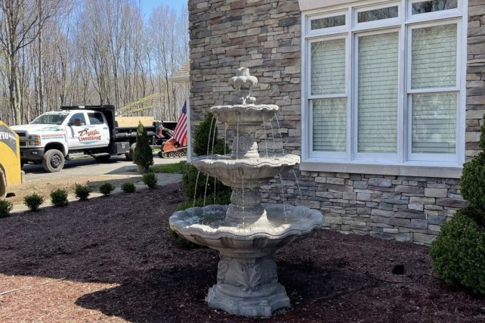 Daily Landscaping Daily Landscaping