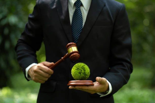 CEPT / MOEFCC environmental lawyer CEPT / MOEFCC environmental lawyer